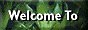 Welcome-Button